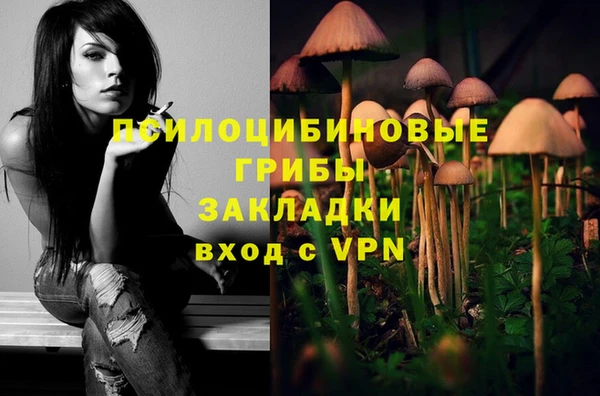 гашишное масло Покачи