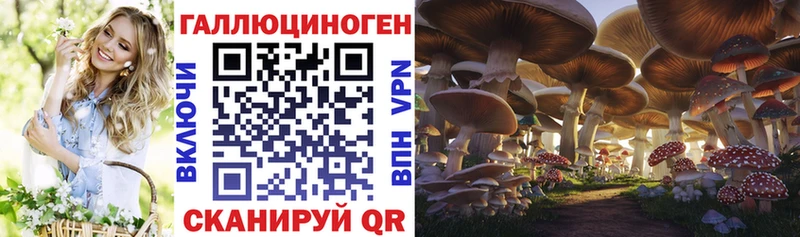 Псилоцибиновые грибы мицелий  магазин продажи наркотиков  Струнино 